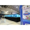 Aquafair Betta International Competition, MITC