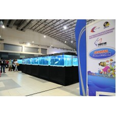 Aquafair Betta International Competition, MITC